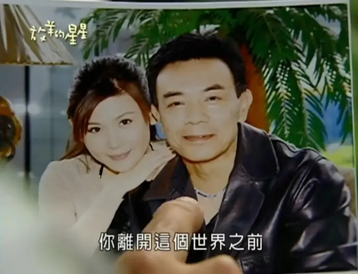 [2007][香港]《放羊的星星》[林志颖 / 刘荷娜][国粤中字][20集][51.11GB][百度网盘]
