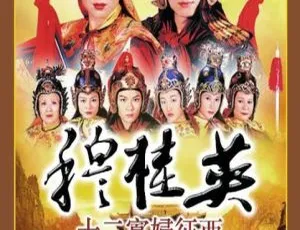 1998香港经典：陈秀雯文颂娴《穆桂英之十二寡妇征西》28集 51.78GB 百度网盘资源-小文资源网