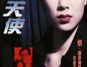 1996 香港经典剧《地狱天使》：张可颐 陈启泰主演 20 集资源 17.65GB 百度网盘