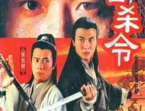 1996香港经典剧《十三密杀令》：钱小豪 张兆辉主演 20集百度网盘16.25GB国粤中字资源