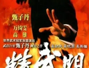 1995香港经典剧《精武门》：甄子丹 万绮雯 30 集 国粤中字 38.56GB 百度网盘资源-小文资源网