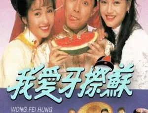 1992 香港经典剧《我爱牙擦苏》：张卫健 黎姿 20 集国粤中字 16.96GB 百度网盘资源