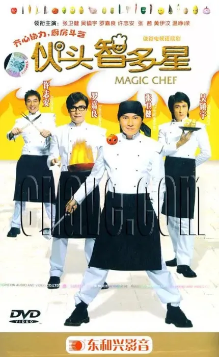 [2005][香港]《伙头智多星》[张卫健 / 罗嘉良][国粤中字][30集][12.99GB][百度网盘]