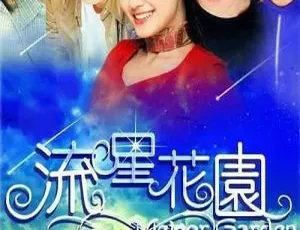 2001 香港经典《流星花园》：徐熙媛言承旭主演 20 集高清资源 38.63GB 百度网盘速存