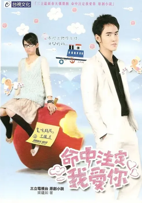 [2008][香港]《命中注定我爱你》[陈乔恩 / 阮经天][国粤中字][24集][63.32GB][百度网盘]