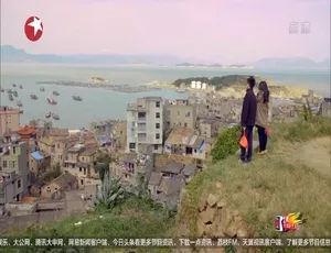 1080P 国语中字！《梦想改造家》第三季 13 集百度网盘资源-小文资源网