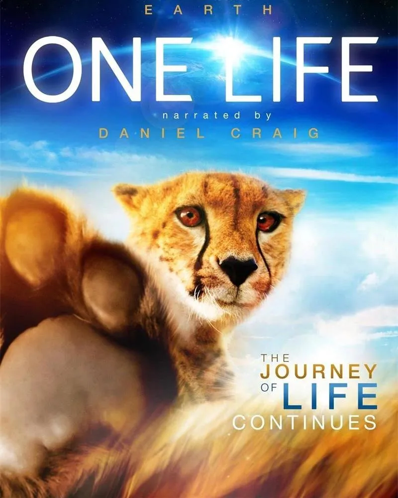 儿童电影《地球生灵 One Life》[儿童教育][1集/英语中英双字][1.99GB][百度网盘]