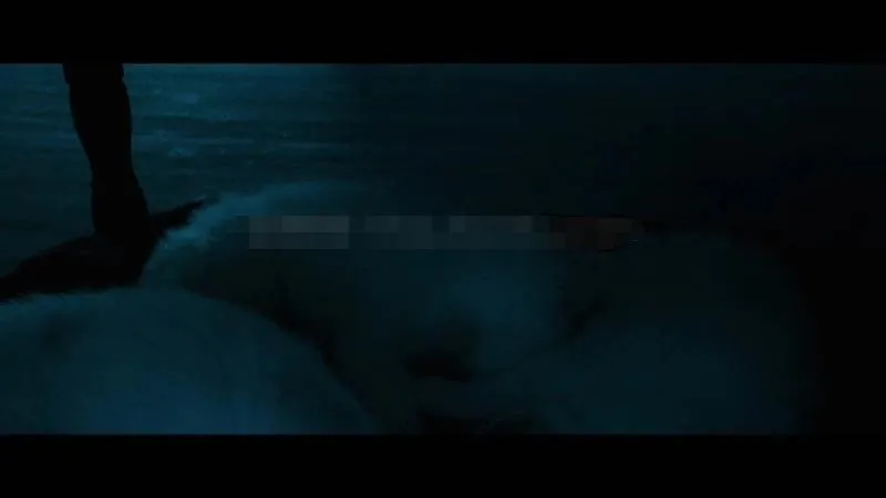儿童电影《2018灵犬雪莉3》[儿童教育][英语中字/1集][2.91GB][百度网盘]