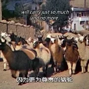 1943《致候吾友 Saludos Amigos》[动画/短片/音乐/家庭/奇幻][英语/全1集2.19G][百度下载]