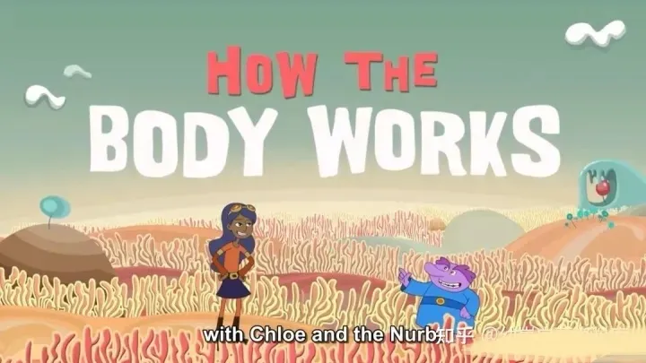 动画片《你的身体是如何工作的 How your body work》[儿童教育][英文版18集][367.33MB][百度网盘]