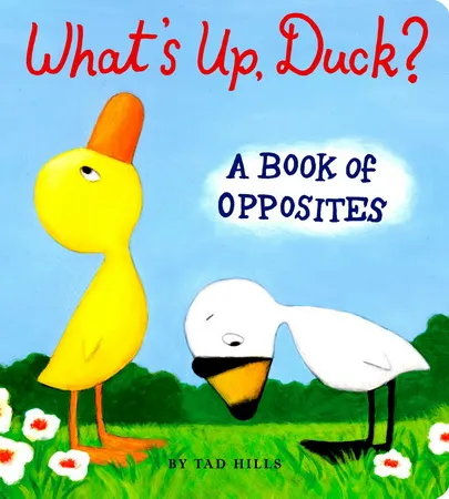 动画片《Duck and Gooe 小黄鸭和小白鹅》[儿童教育][英文版8集第一季][1.7GB][百度网盘]