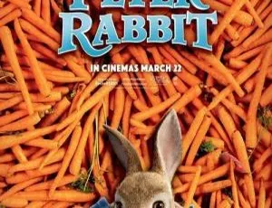 《必看！英文版 28 集第一季儿童教育动画片<彼得兔 Peter Rabbit> 14.88GB 百度网盘资源》-小文资源网