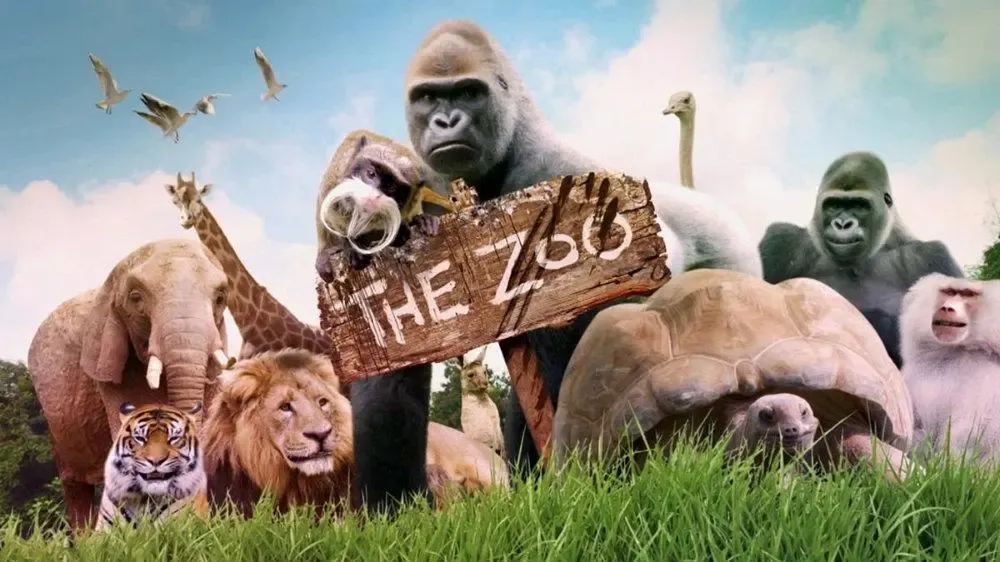 动画片《The Zoo 欢乐动物园》[儿童教育][英文版30集第一季][8.34GB][百度网盘]