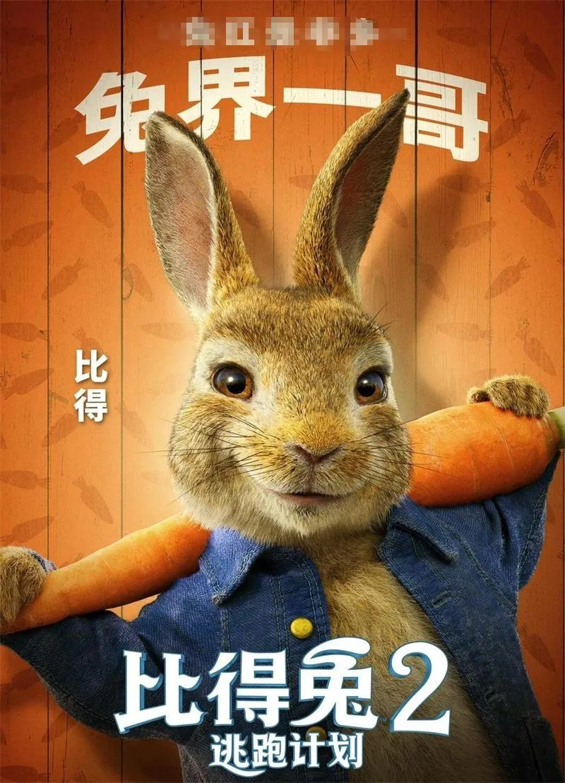 儿童电影《比得兔2：逃跑计划 Peter Rabbit》[儿童教育][英语中英双字1集][2.67GB][百度网盘]
