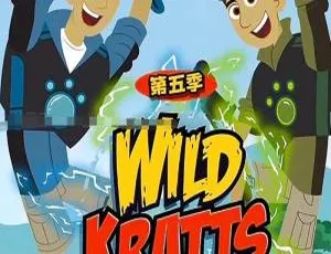 必看！英文动画《动物兄弟Wild Kratts》第五季全20集英语中字 3.5GB百度网盘资源