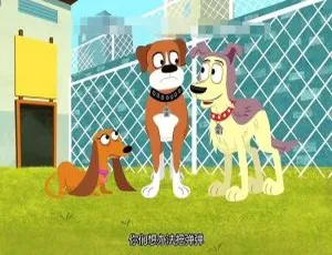 《必看！英文动画小狗邦德Pound Puppies全2季 国语英语版共78集 12GB百度网盘资源》-小文资源网
