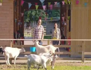 720P高清！少儿英语《萌宠与我 My Pet and Me》第二季全20集MP3下载 4.57G百度网盘-小文资源网