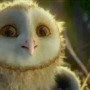 2010《猫头鹰王国：守卫者传奇 Legend of the Guardians: The Owls of Ga’Hoole》[动作 / 动画 / 奇幻 / 冒险][全1集1.99G][百度网盘]