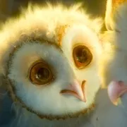 2010《猫头鹰王国：守卫者传奇 Legend of the Guardians: The Owls of Ga’Hoole》[动作 / 动画 / 奇幻 / 冒险][全1集1.99G][百度网盘]
