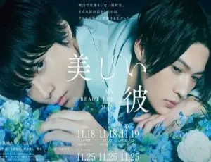 1080P高清日语中字！日剧《美丽的他》6集全视频合集百度云下载（酒井麻衣执导）-小文资源网