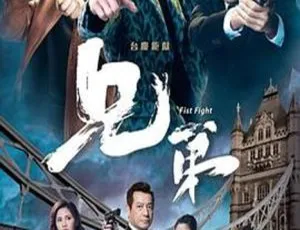 2018 中国香港剧《兄弟》30 集全 国语中字 百度网盘资源-小文资源网