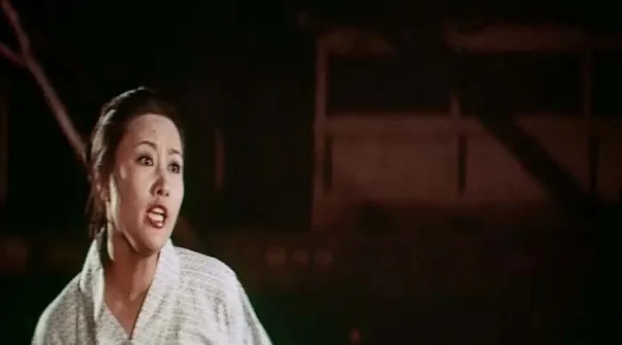[1972][中国台湾][唐人镖客][国语无字][MKV][1.69GB][百度网盘]