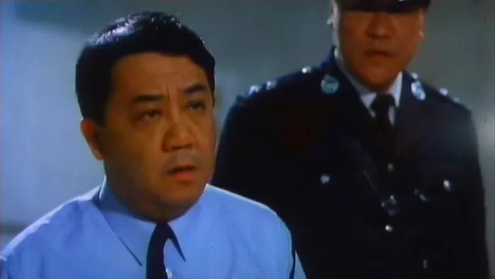 [1991][香港][猛鬼狐狸精][[国语中字][MKV][565MB][百度网盘]