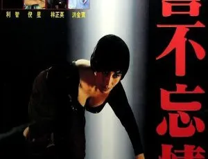 1992 香港经典《誓不忘情》国语中字 1010MB MKV 百度网盘资源