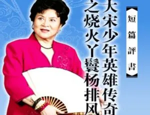 刘兰芳评书《大宋少年英雄传奇之杨排风》15讲MP3音频合集 百度云下载-小文资源网