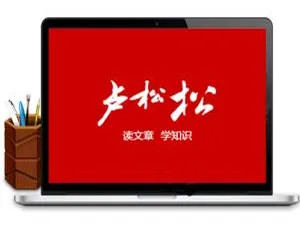 实测 2019 款仿卢松松 WordPress 个人博客主题 Luss V1.22 - 陌佑网-小文资源网