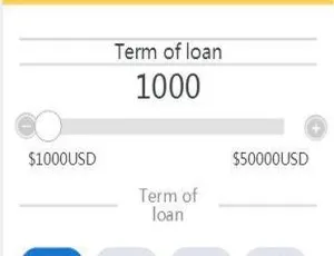 英文版小额借款平台C138金融源码：已查杀木马-小文资源网