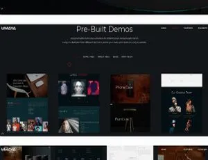 Best WordPress Theme for Mancink Fishing Gear Enthusiasts' English Sites