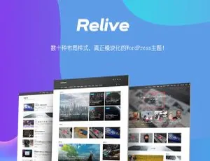 爆款！Relive3.1 WordPress自媒体博客主题模板-小文资源网