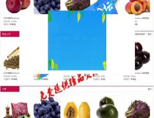 ECSHOP沱沱工社瓜果蔬菜商城模板：团购、WAP 与微信商城（utf+gbk）-小文资源网