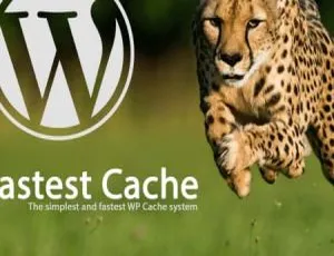 WP Fastest Cache Premium 1.7.0汉化版：WordPress静态缓存加速优化插件-小文资源网