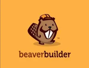 必看！Beaver Builder Professional 2.7.2 超全完美汉化中文版，WordPress 页面设计自定义生成神器-小文资源网