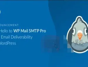 必看！WP Mail SMTP Pro 3.9.0汉化中文版，超火的WordPress邮件发送插件-小文资源网