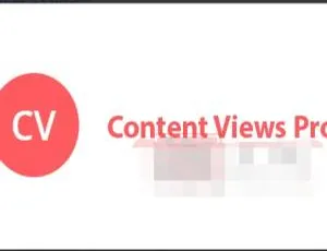 必看！Content Views Pro 5.15汉化中文版 - 超棒网格排版与自定义设计WordPress插件-小文资源网
