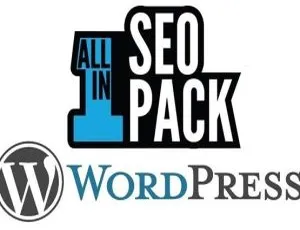 All in One SEO Pro 4.4.4（AIOSEO）完美汉化中文版：强大WordPress专业SEO插件-小文资源网
