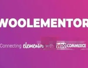 CoDesigner Pro 3.14汉化版（原 Woolementor Pro）：自定义 WooCommerce 的 Elementor 插件