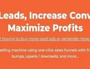CartFlows Pro 1.11.15 免费汉化中文版：提升转化率与利润的WP WooCommerce插件-小文资源网