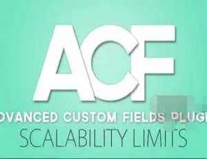 《必看！Advanced Custom Fields PRO 6.2.0汉化中文版，超强大WordPress字段自定义插件》-小文资源网