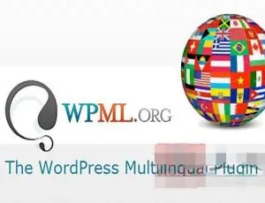 WPML 4.6.5汉化中文版：WordPress多国语言自动翻译插件合集-小文资源网