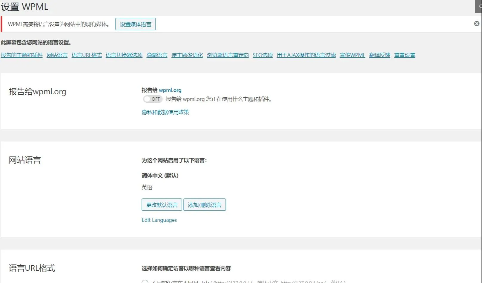 WPML Multilingual CMS 4.6.5汉化中文版合集|WordPress多国语言网页自动翻译插件