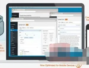 Gravity Forms 2.4.22.1 汉化破解：WordPress 必备高级自定义表单插件-小文资源网