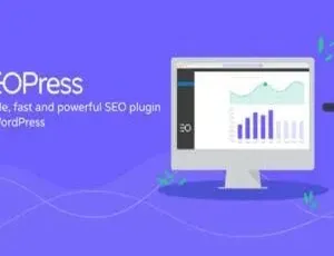 SEOPress PRO 4.5.1中文汉化破解版|WordPress多功能专业SEO插件-小文资源网