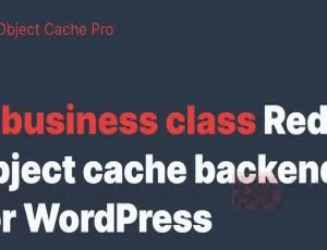 Redis Cache Pro 1.13.1专业版：加速WordPress的高级对象缓存插件-小文资源网