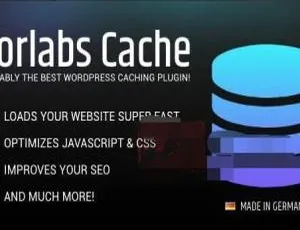 Borlabs Cache 1.6.3 中文版：WordPress 轻量缓存加速破解插件-小文资源网