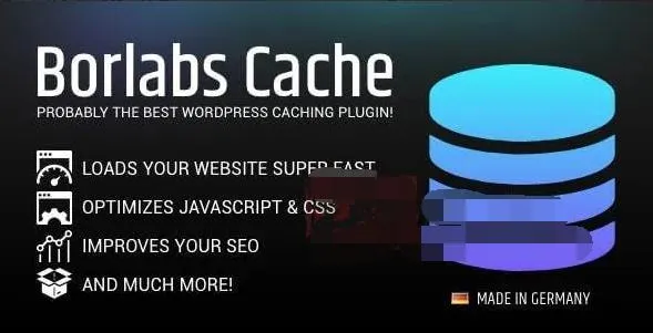 Borlabs Cache 1.6.3完美汉化中文破解版|WordPress轻量多功能缓存加速插件