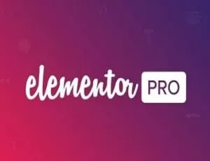 Elementor Pro 3.2.1+Elementor 3.1.4汉化中文破解版|页面拖动自定义设计WordPress插件-小文资源网